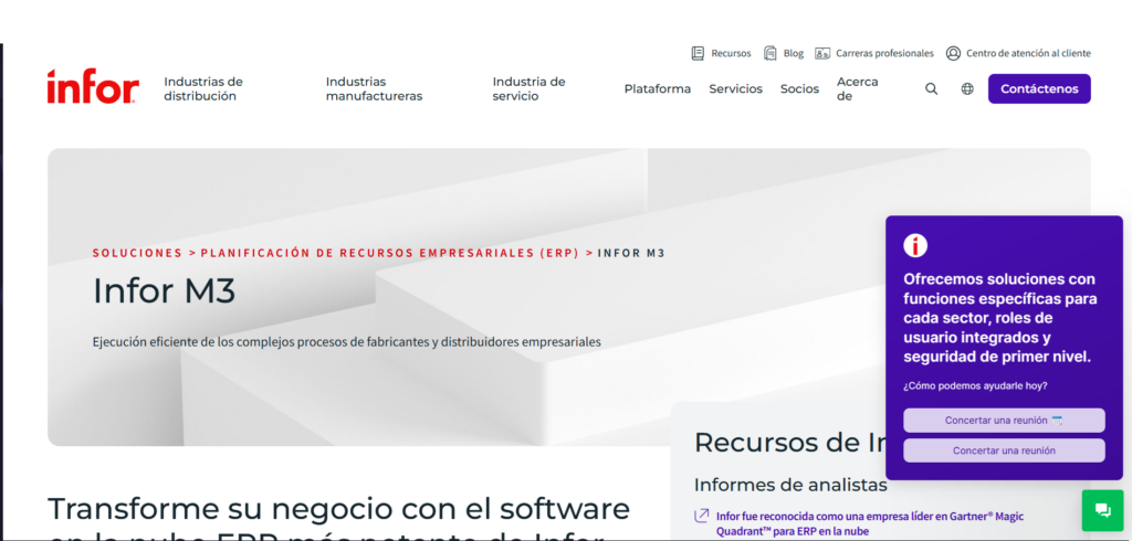 Imagen de sitio web Infor M3